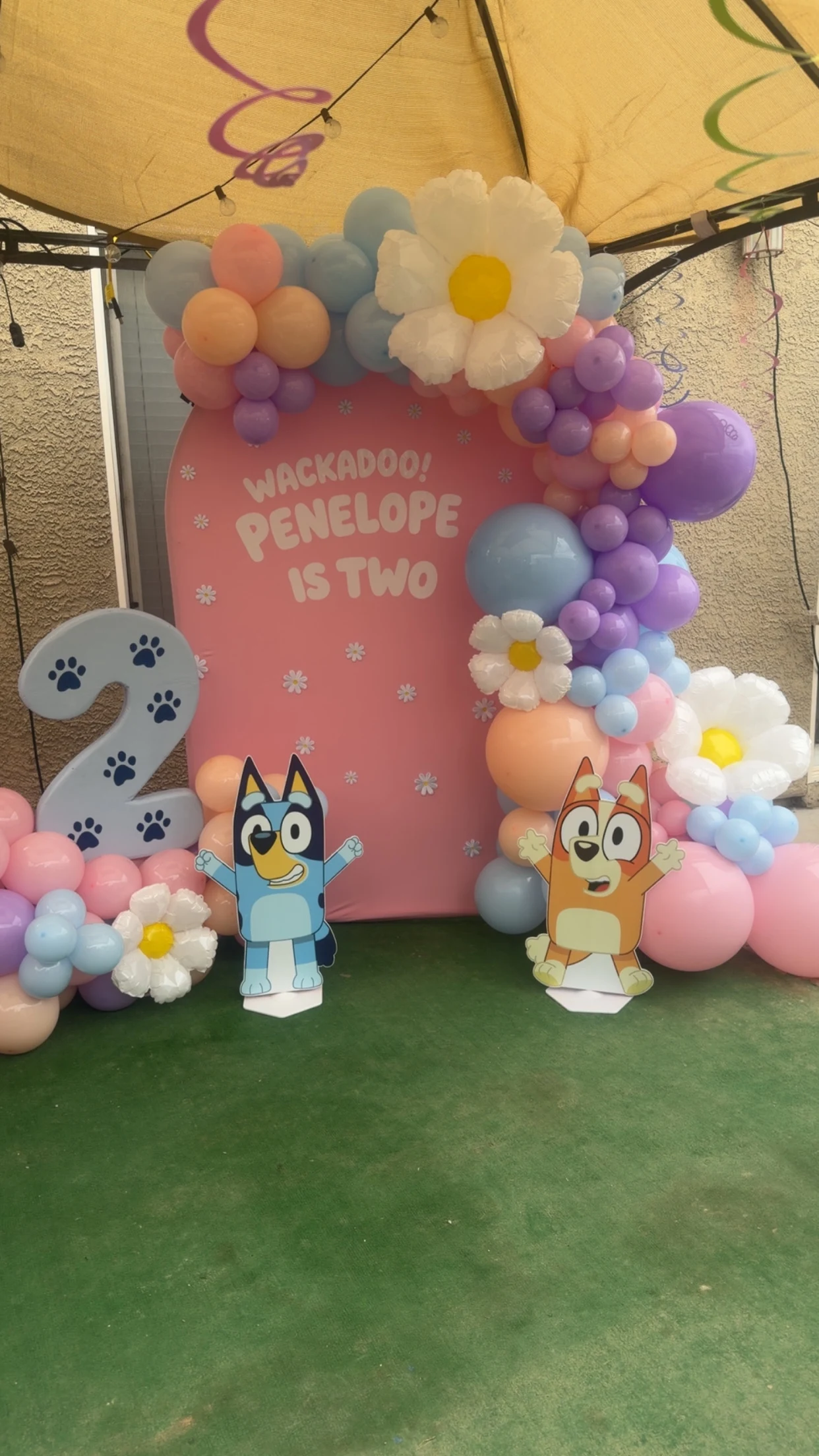 Bluey second birthday with a pink backdrop, pastel balloon garland, oversized daisies and character cutouts